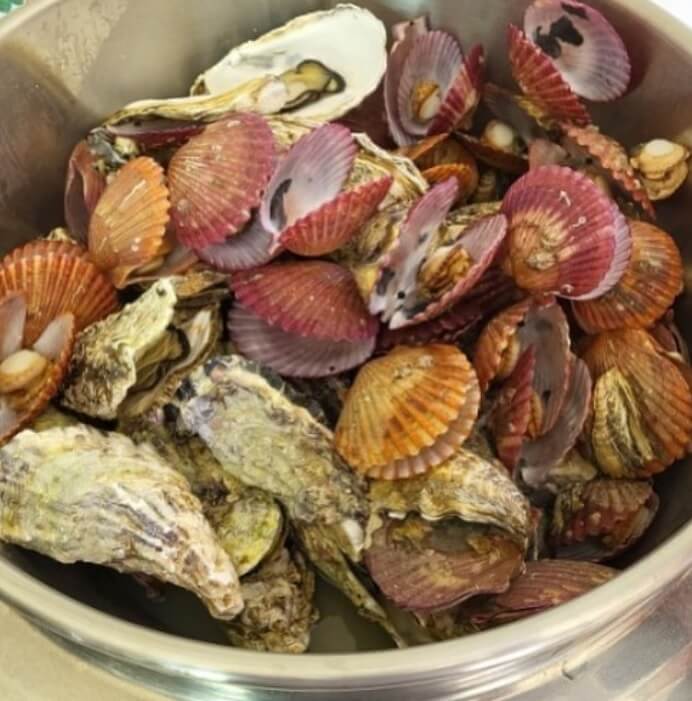 6시내고향 경남 통영의 수산물 전문점 통영자성수산 비단가리비 주문방법