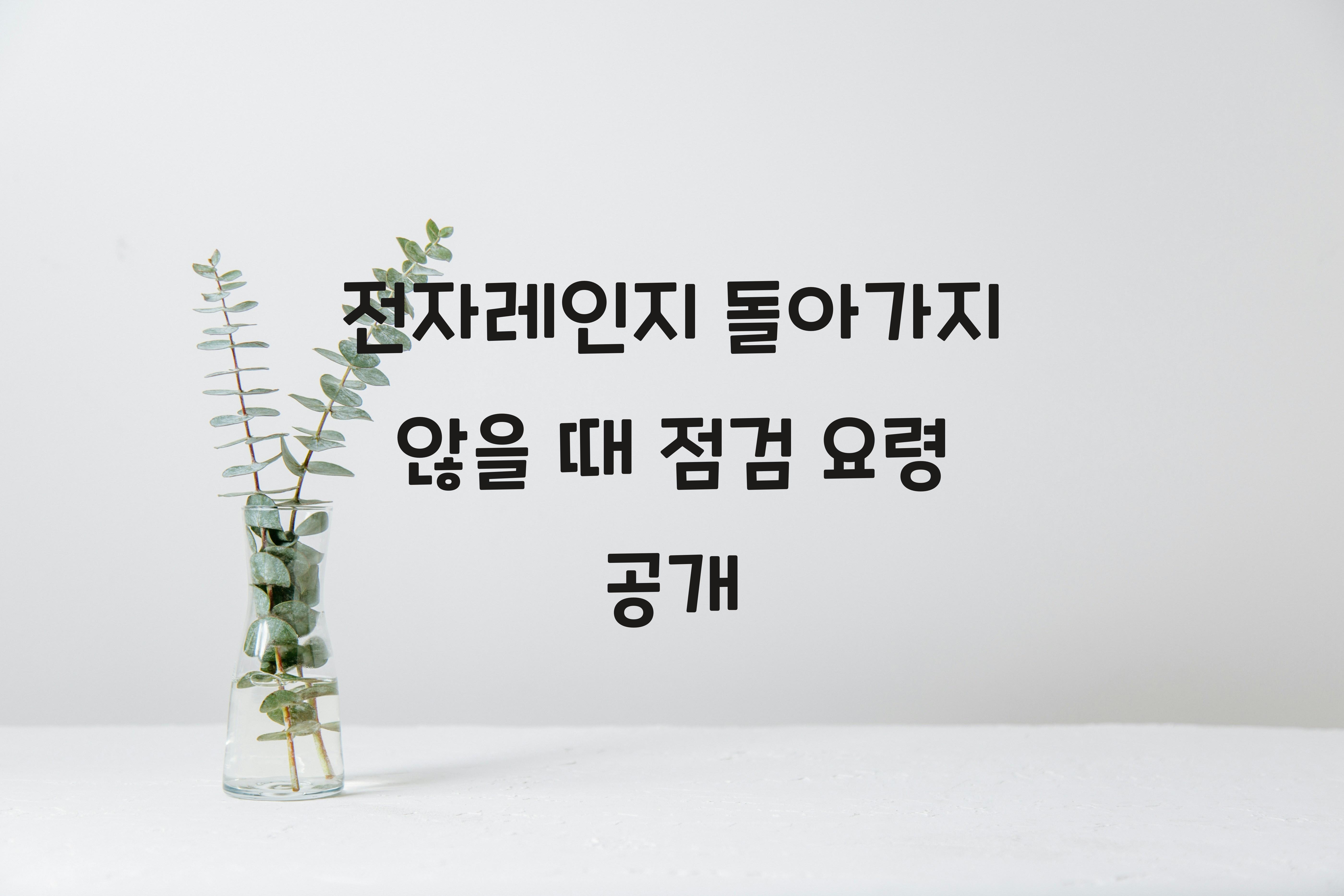 전자레인지 돌아가지 않을 때 점검 요령