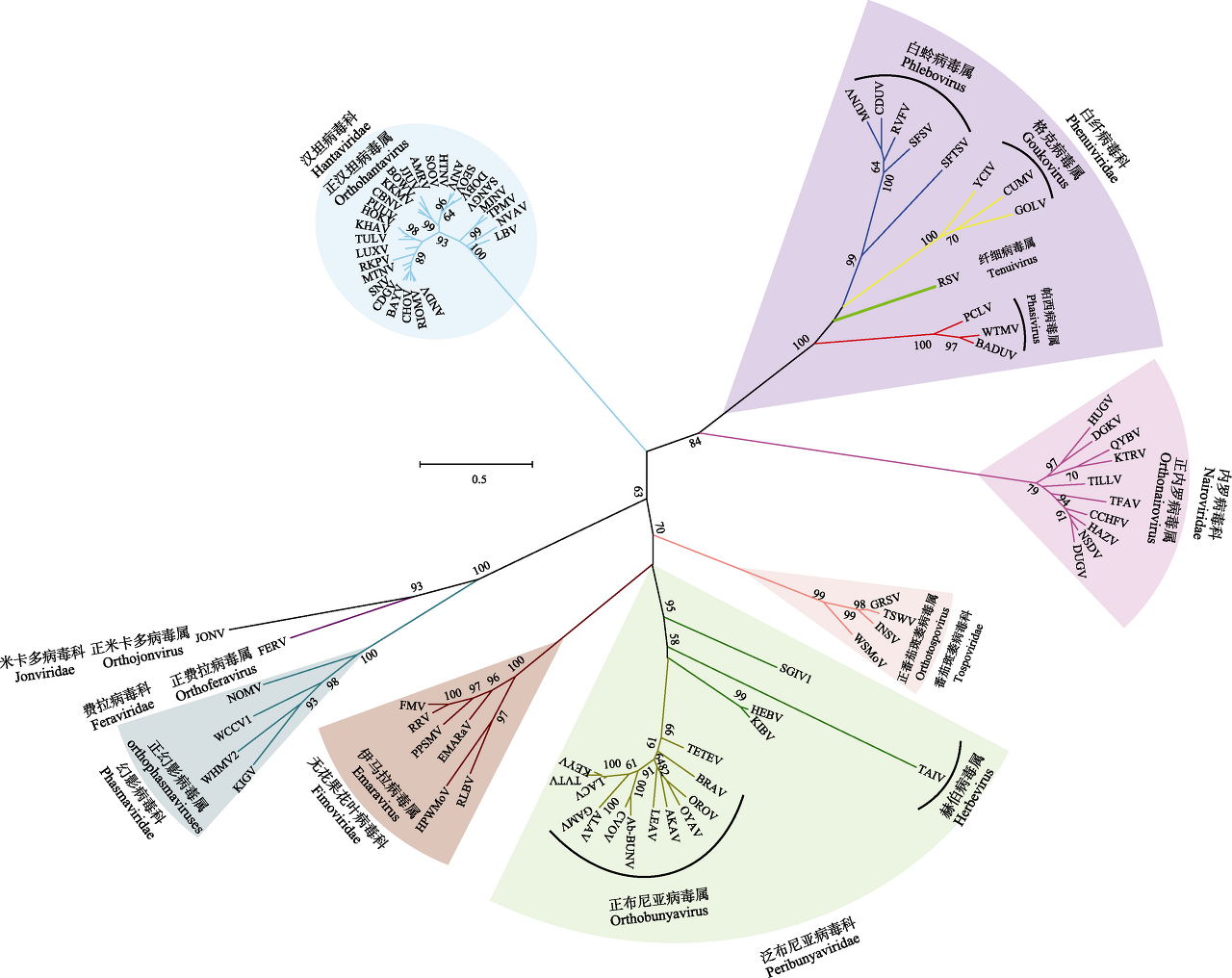 분야바이러스 하위종