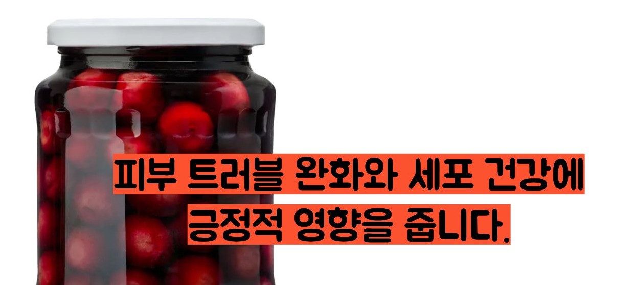 타트체리 효능