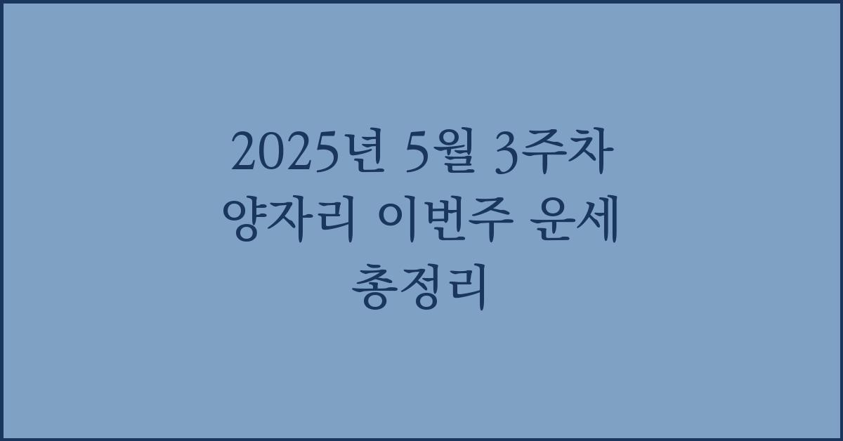 2025년 5월 3주차 양자리 이번주 이번주 운세