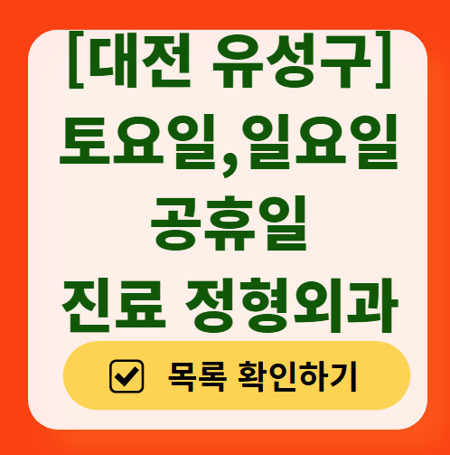 대전 유성구 일요일 문 여는 정형외과 목록 ❘ 토요일, 주말, 공휴일 진료 영업 병원 리스트