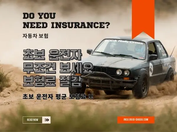 초보 운전자 자차 보험료 절약법｜첫 차 보험료 반값 만드는 현실적인 방법