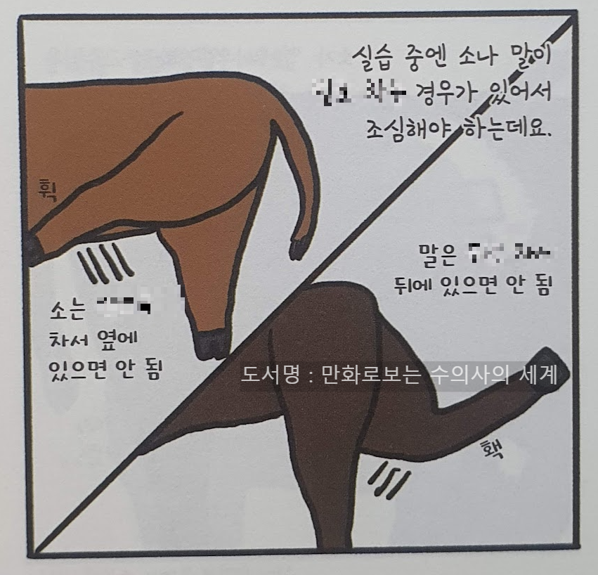 만화로 보는 수의사의 세계 - 소와 말을 다루는 경우