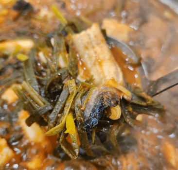 생생정보통 파김치장어전골 의왕 맛집