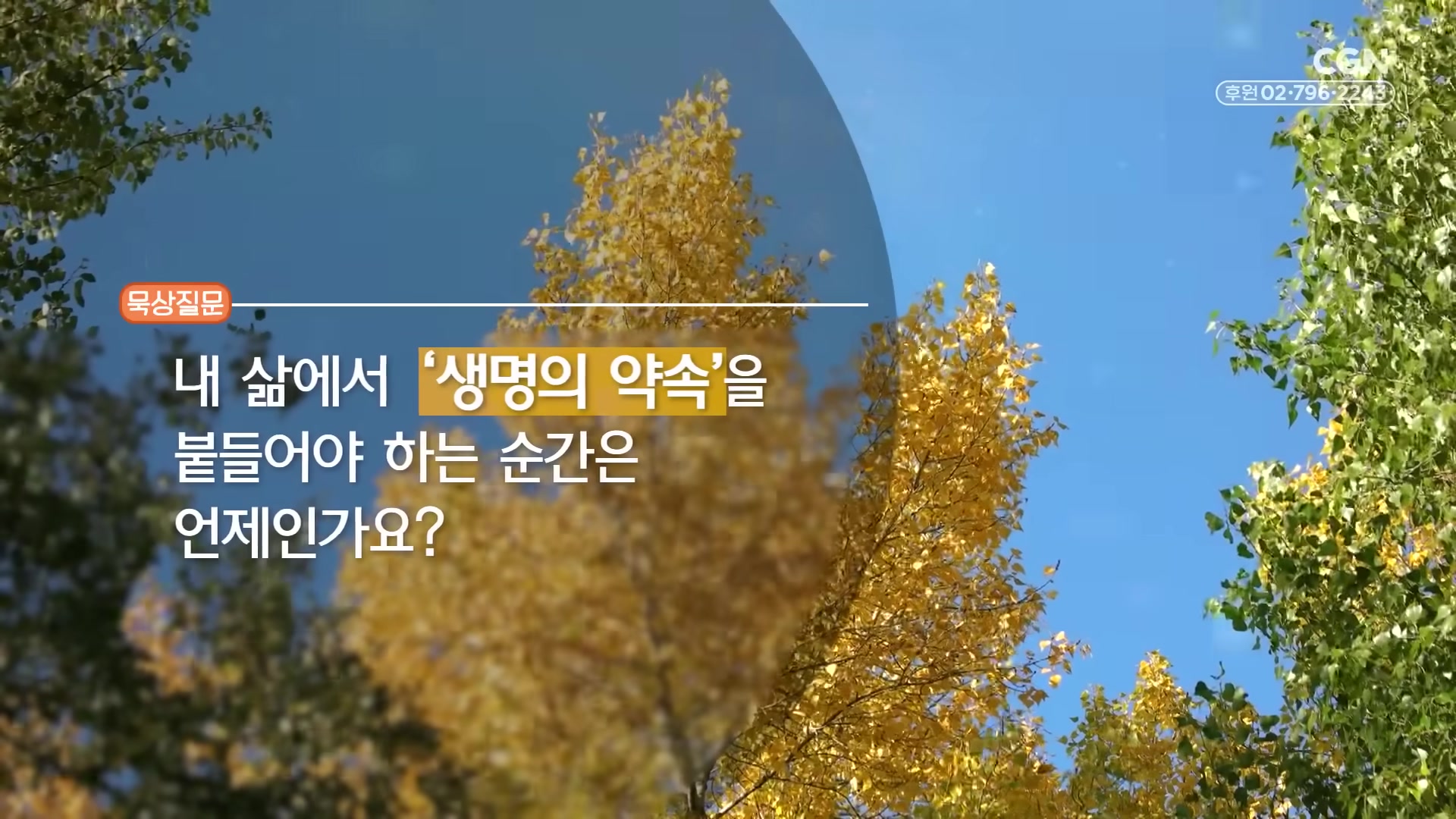 내 삶에서 '생명의 약속'을 붙들어야 하는 순간은 언제인가요?