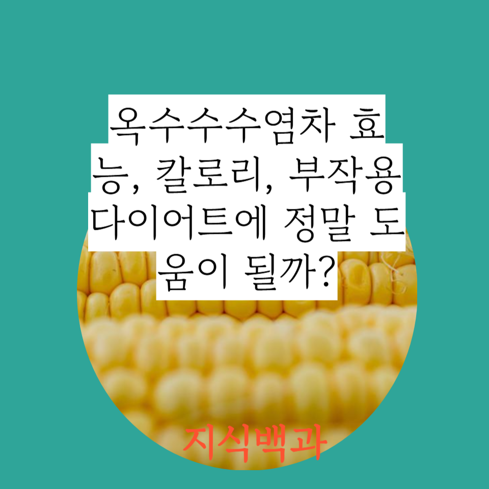 옥수수수염차 효능, 칼로리, 부작용 다이어트에 정말 도움이 될까
