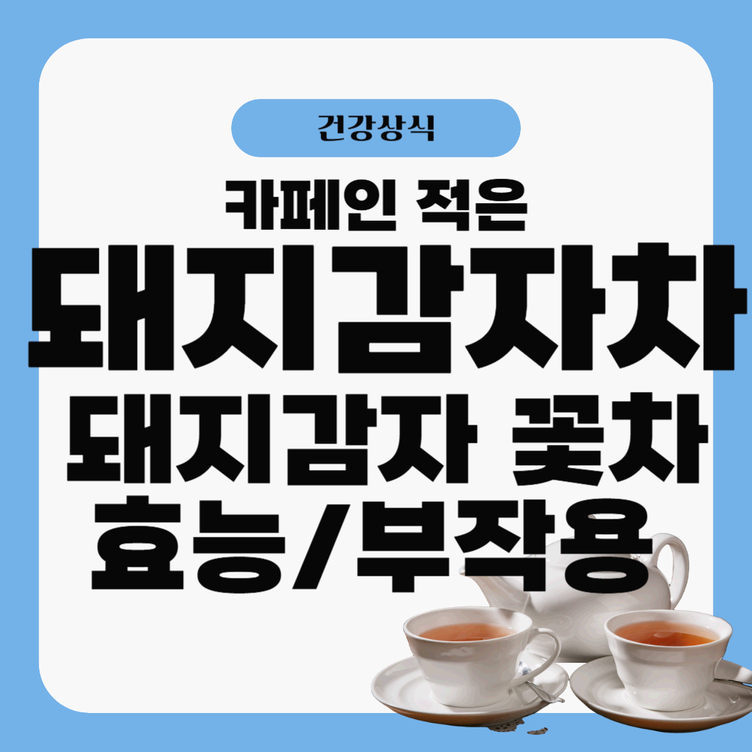 돼지감자 차 효능 총정리! 혈당 조절부터 다이어트까지
