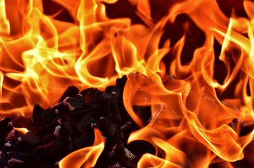 부자가 된 후의 삶: 책임과 선택