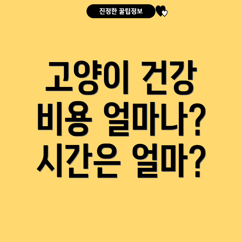 고양이 건강 검진