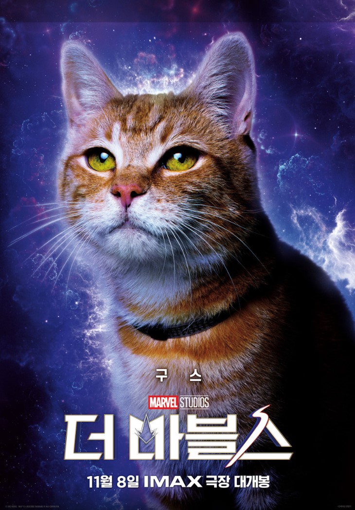 더 마블스