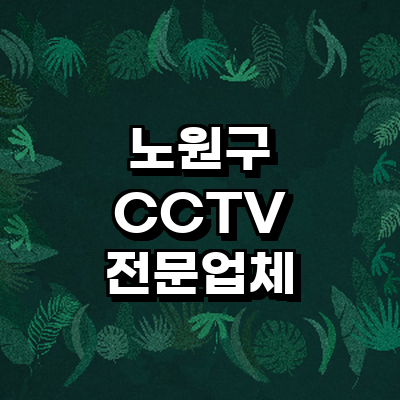 서울 노원구 cctv