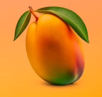 비타민E가 많은 음식