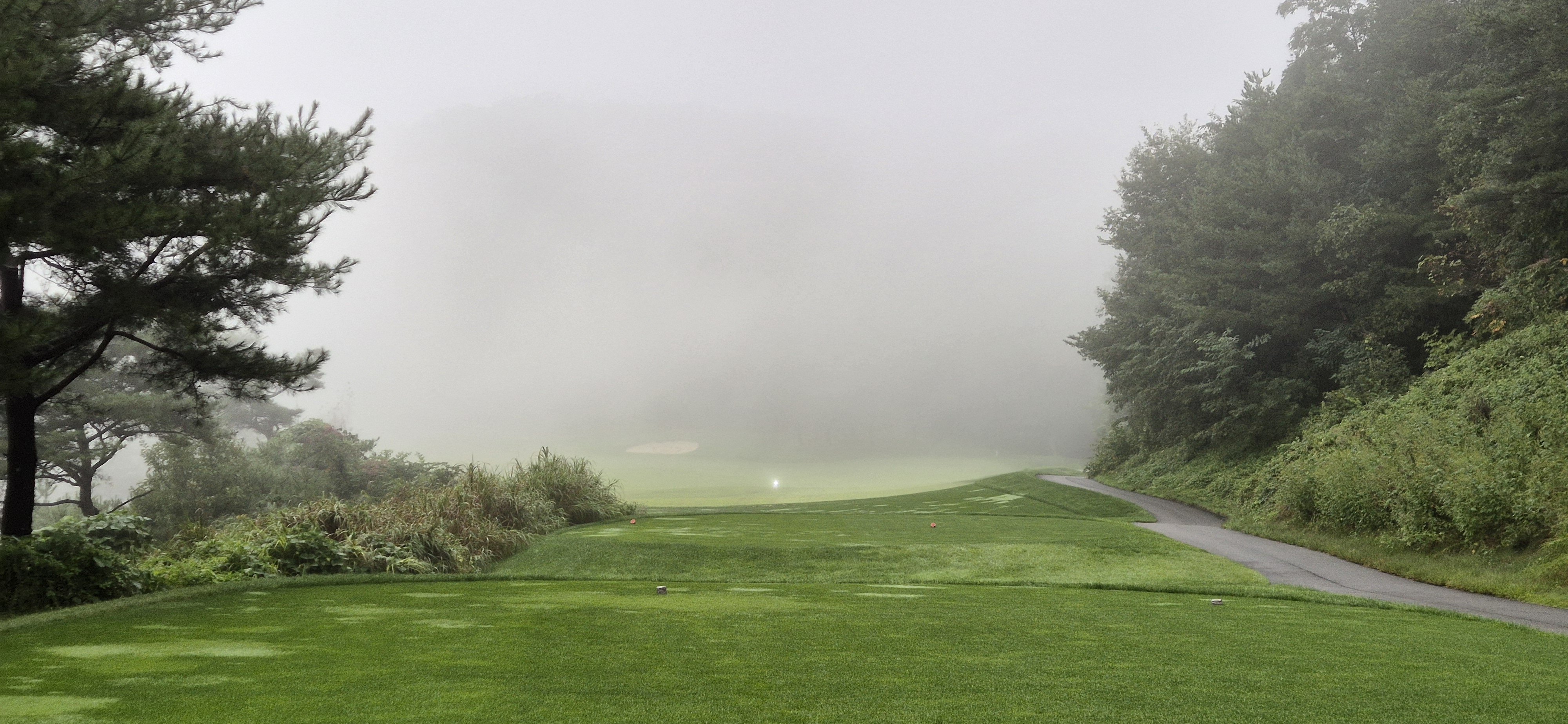 더플레이어스cc