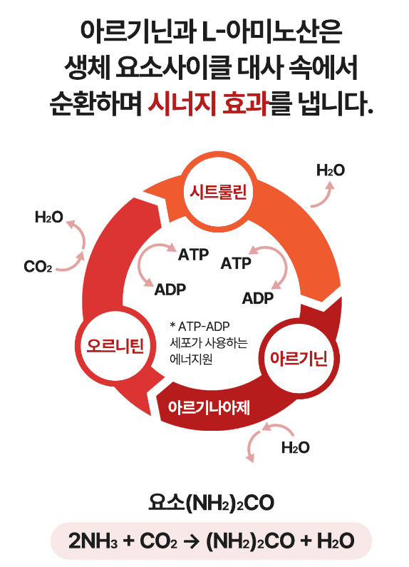 김종국 익스트림 트리플 아르기닌 부작용과 효능&amp;#44; 리뷰 분석 종합