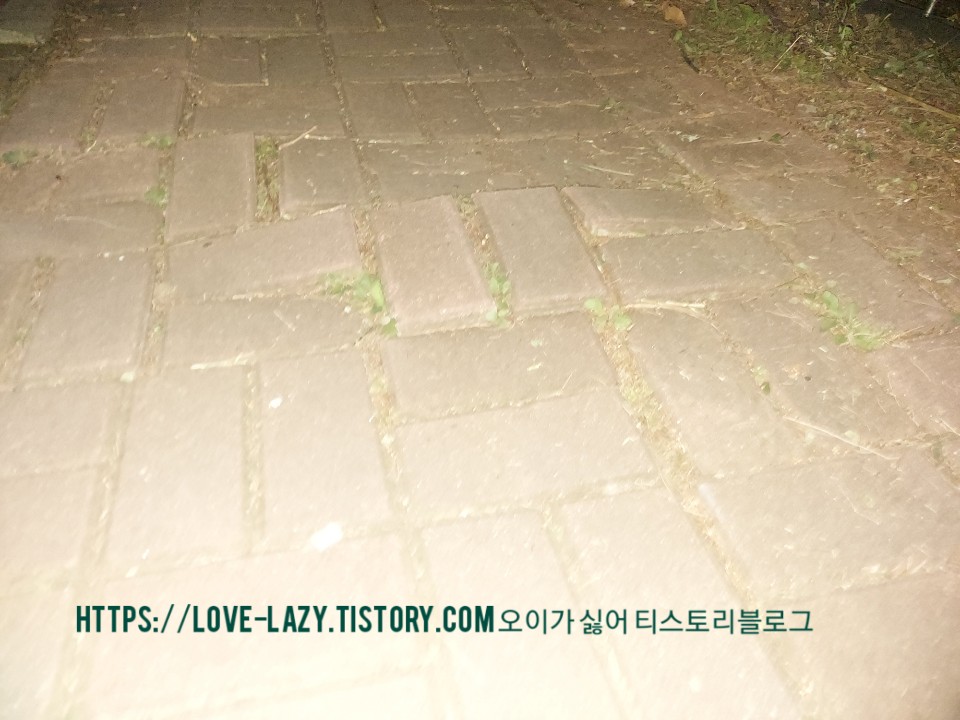 수원 자전거 코스