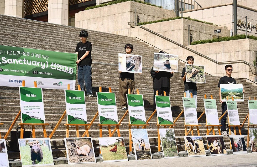 대중 캠페인