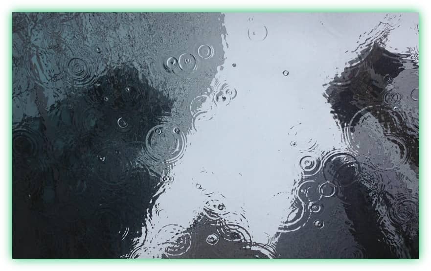 장마철 집안의 습기와 곰팡이 방지, 관리 및 제거 방법