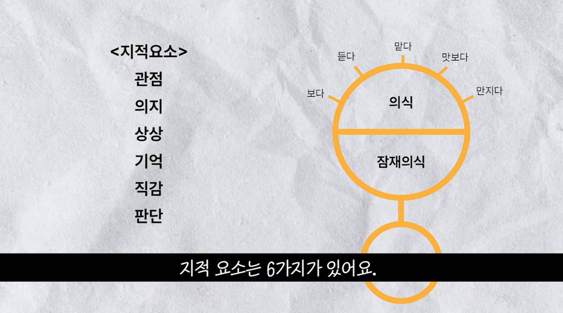 하와이대저택 지적요소 6가지