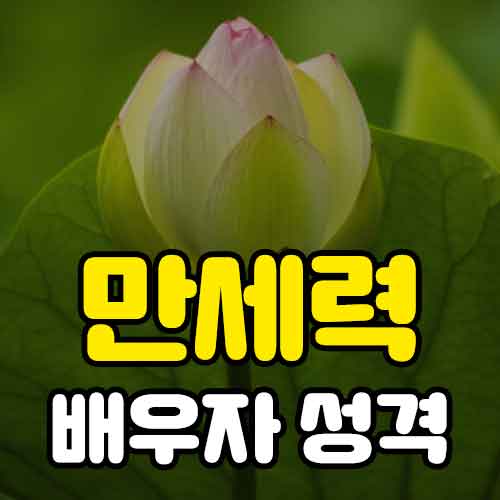 만세력 배우자 성격 알아보기
