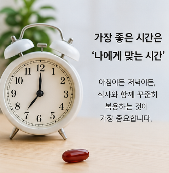 코큐텐 언제 먹어야 효과 좋을까? 아침·저녁 복용 시간 총정리2