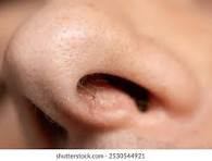 &ldquo;콧털 때문에 이미지 손상? 깔끔한 인상을 만드는 코털제거기 TOP7&rdquo;