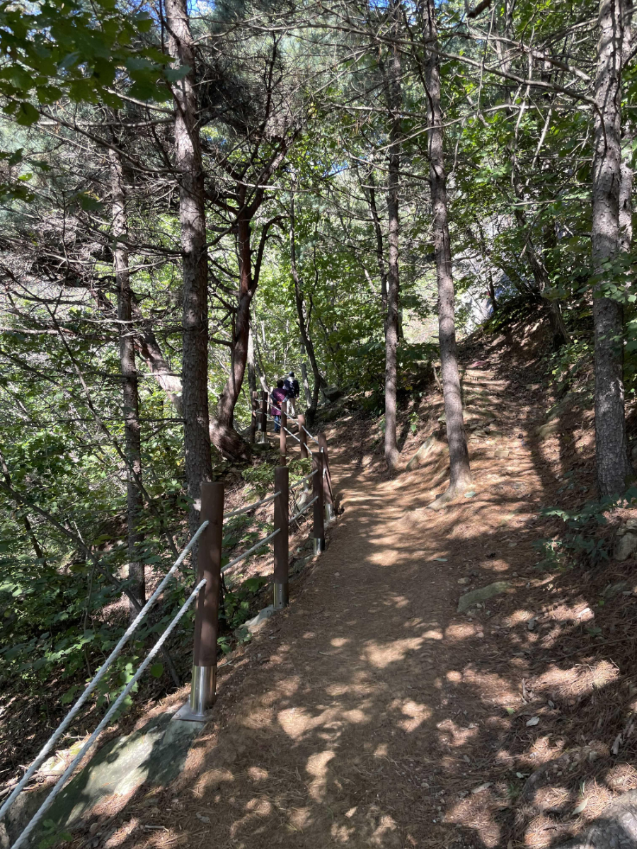 파주 감악산 출렁다리