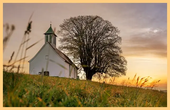 다니엘 기도회 2024 실시간 강사 기도문 일정