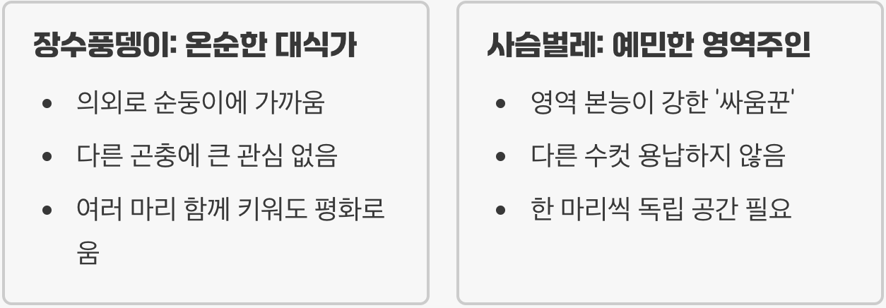 온순한 대식가 vs 예민한 영역주인