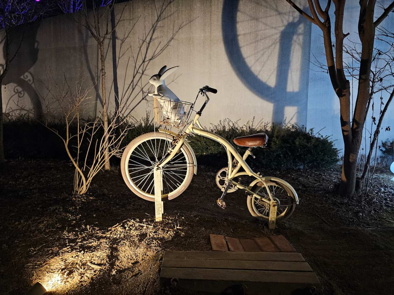 별빛정원우주 63