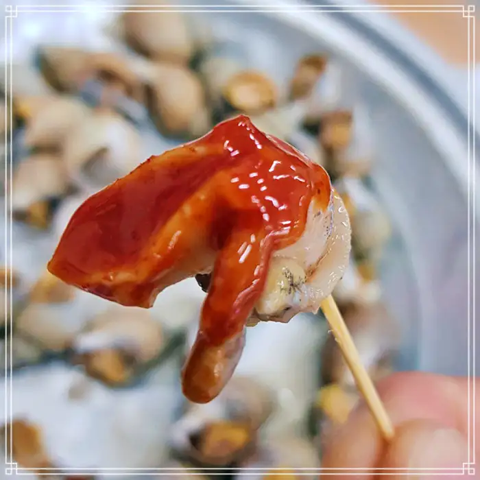 TBJ 생방송투데이 경북 포항 전국 택배 주문 제철 해산물 맛집
