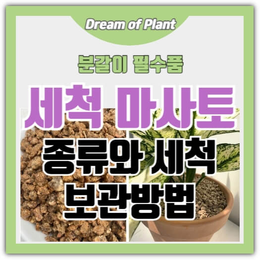 세척 마사토 썸네일 이미지