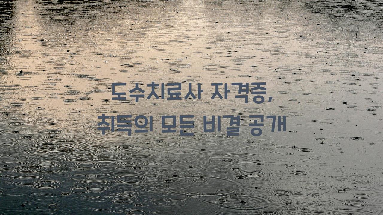 도수치료사