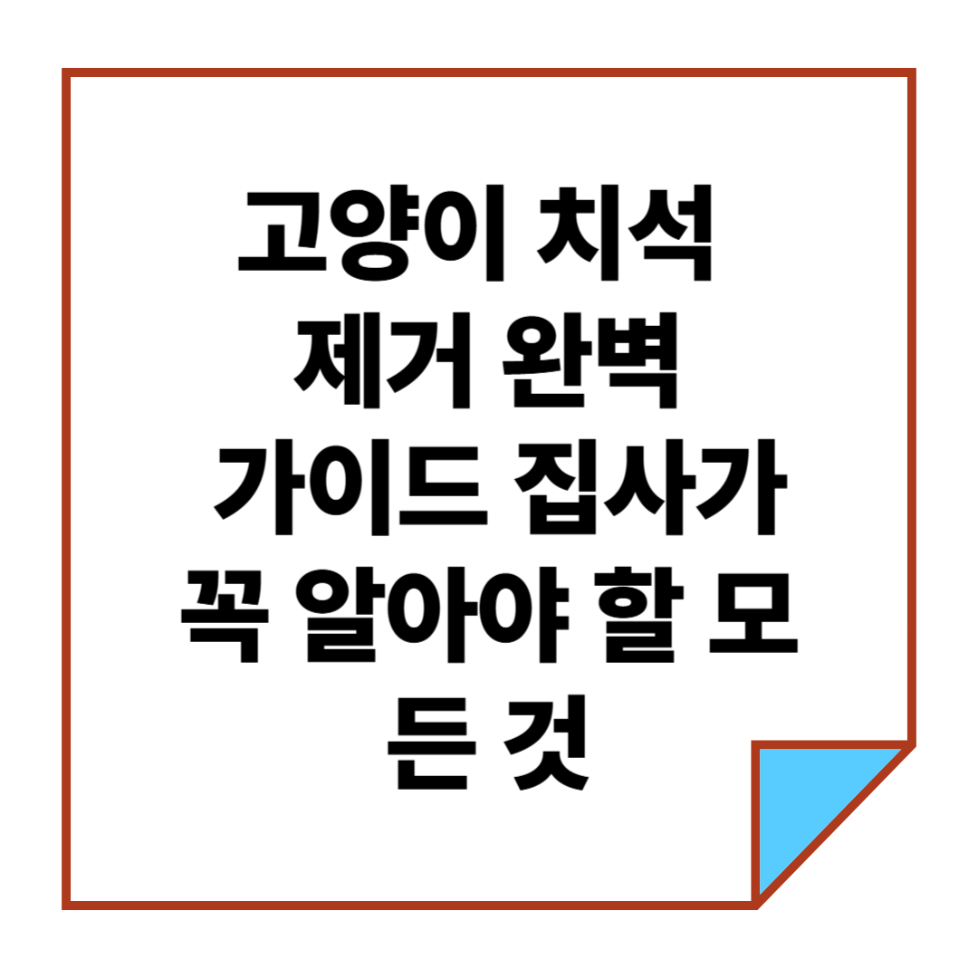 고양이 치석 제거 완벽 가이드: 집사가 꼭 알아야 할 모든 것