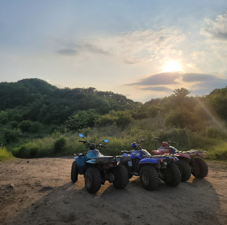 엑스라이프 정보