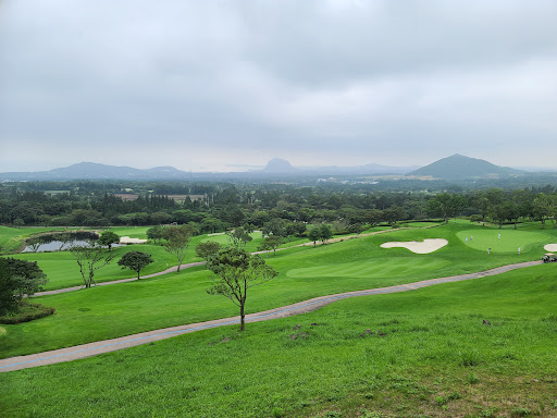 핀크스 골프클럽