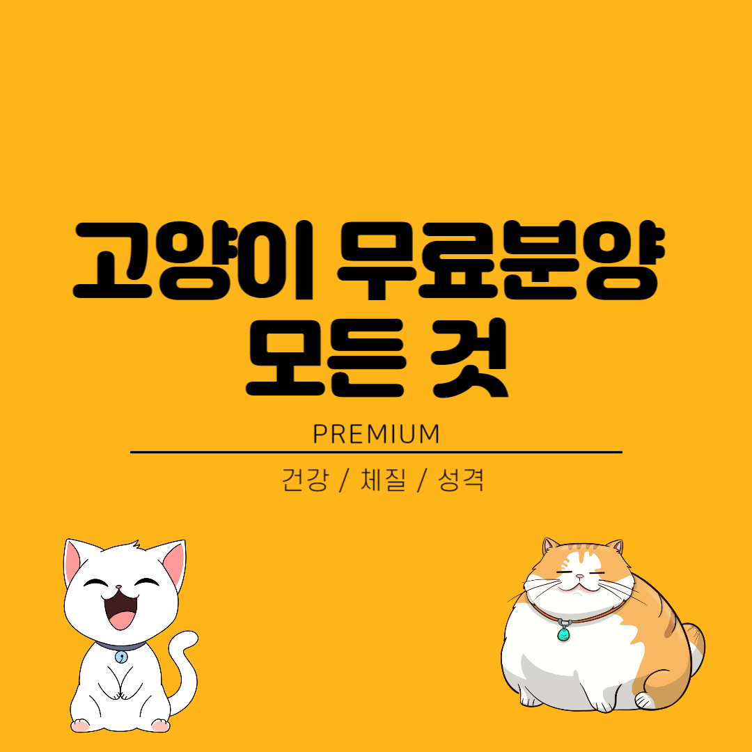 고양이-무료분양-썸네일