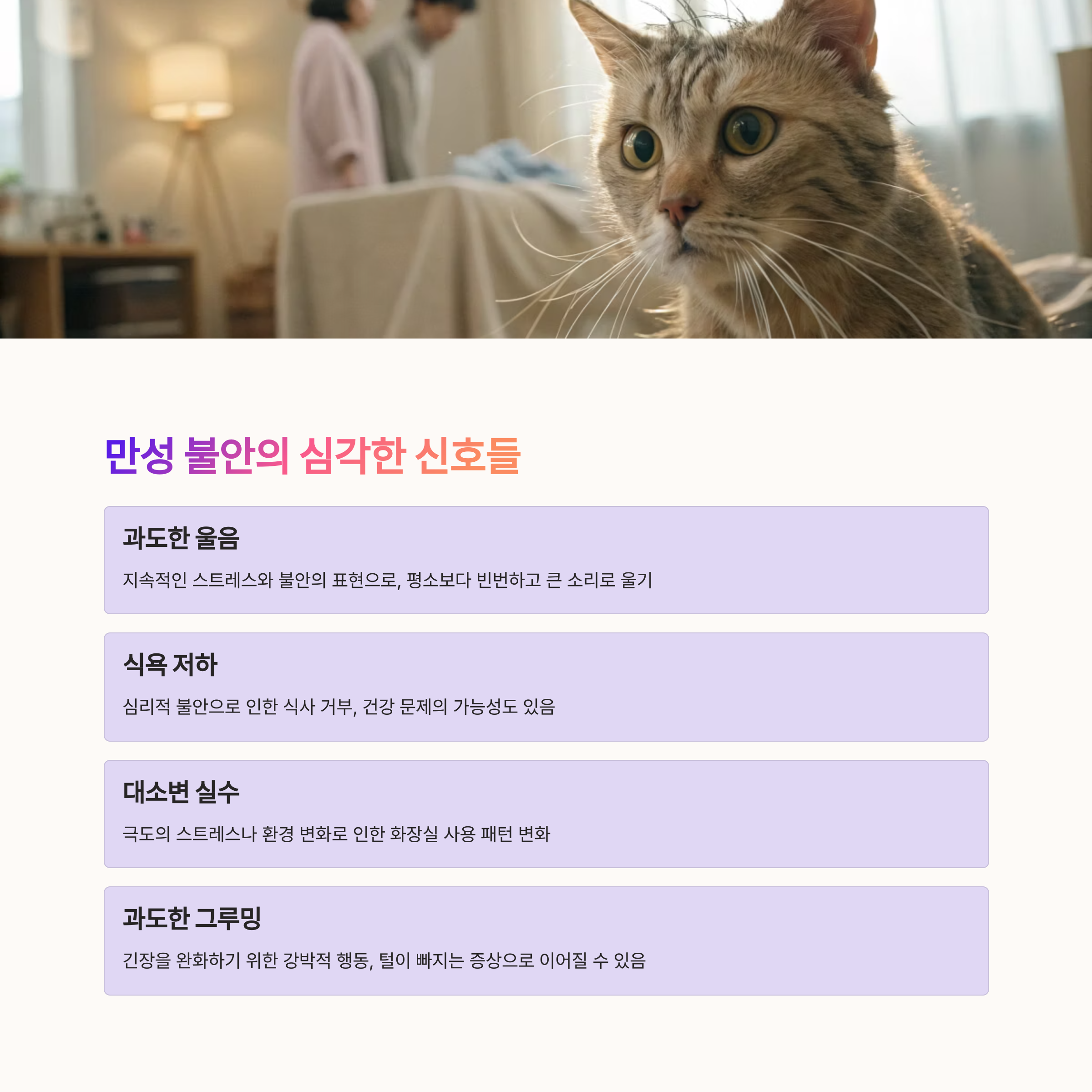 고양이의 만성 불안 신호