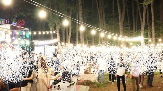 제주도수목원테마파크 야시장