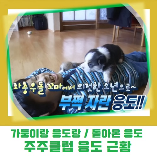 응도 근황 주주클럽 인스타 나이 동물농장 KBS 여유만만 모아보기 다시보기