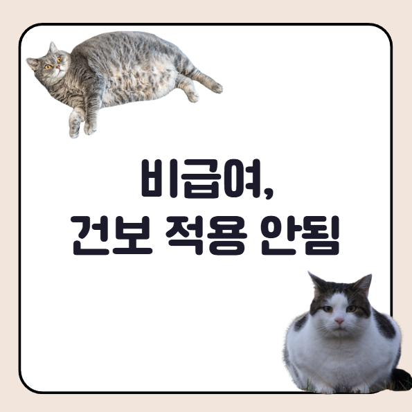 위고비 비급여