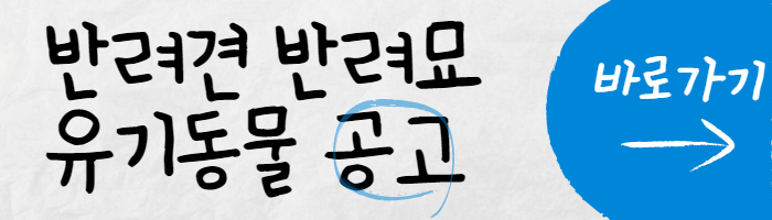 유기동물 공고 썸네일