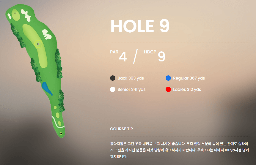 포천 아도니스 컨트리클럽 서코스 09