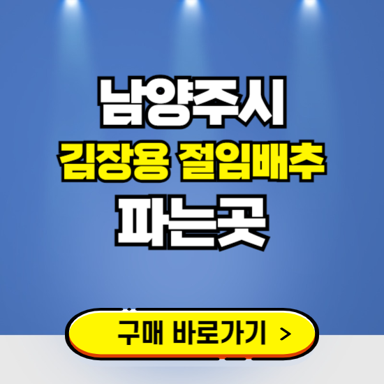 남양주시 절임배추 사전예약 구입하는곳 ❘ 김장배추 파는곳 가격보기