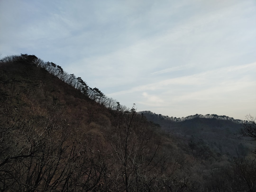 Gyeongbuk