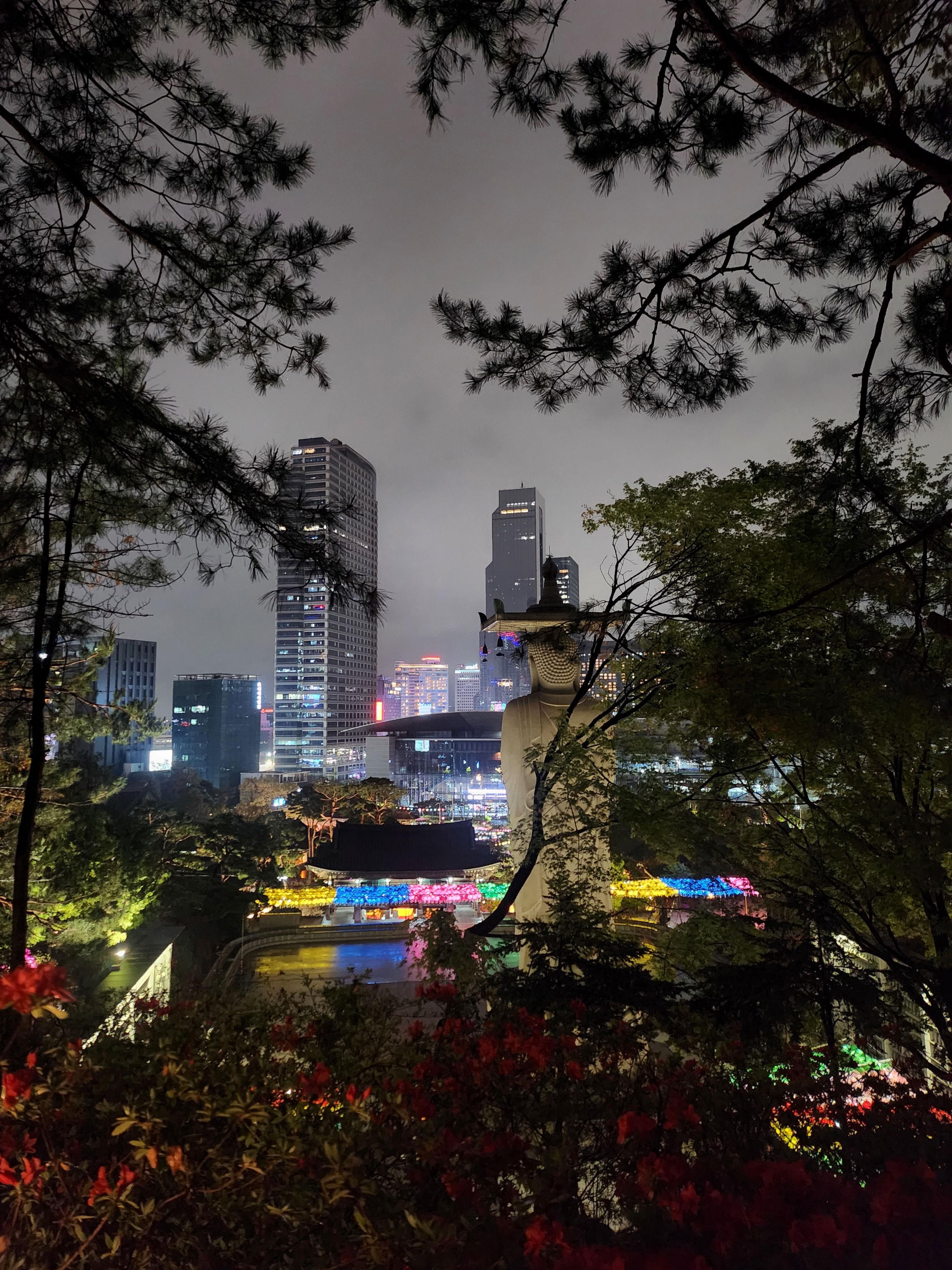 2025. 4. 19. 봉은사 연등제 야경 산책 후기 (겹벚꽃, 라일락, 홍매화 개화상황 포함)