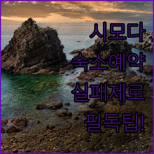 실패 없는 시모다 숙소 예약 팁과 타..