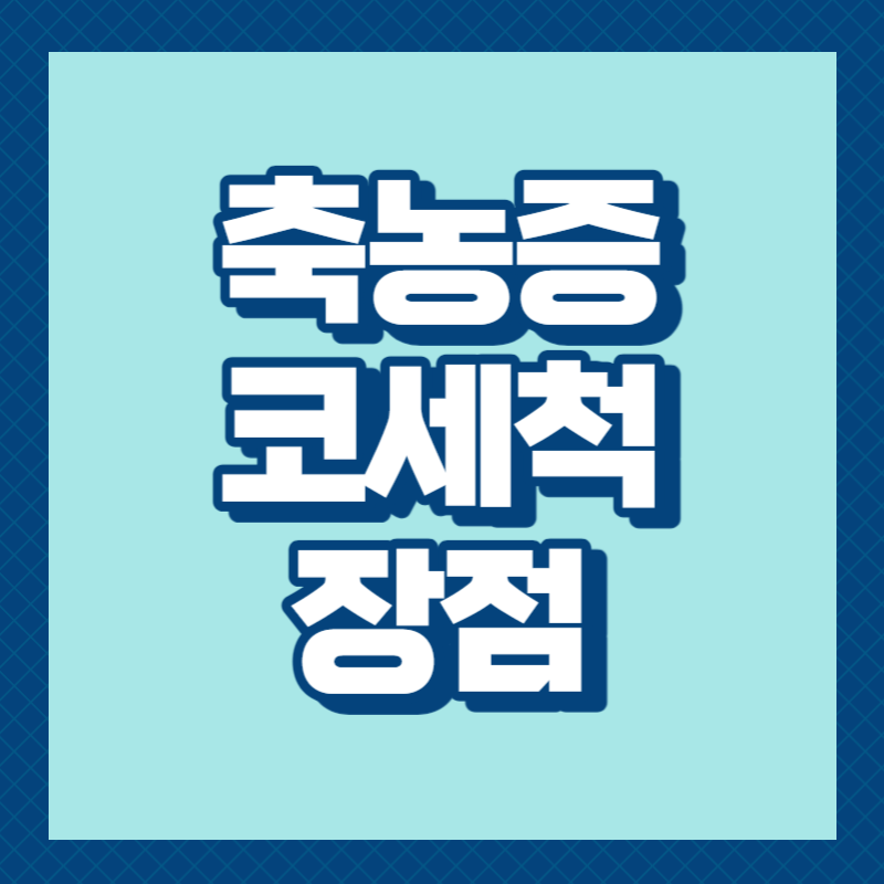 축농증 코세척