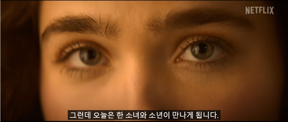 첫눈에 반할 통계적 확률 줄거리, 평점, 후기