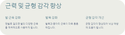 근력 및 균형 감각 향상